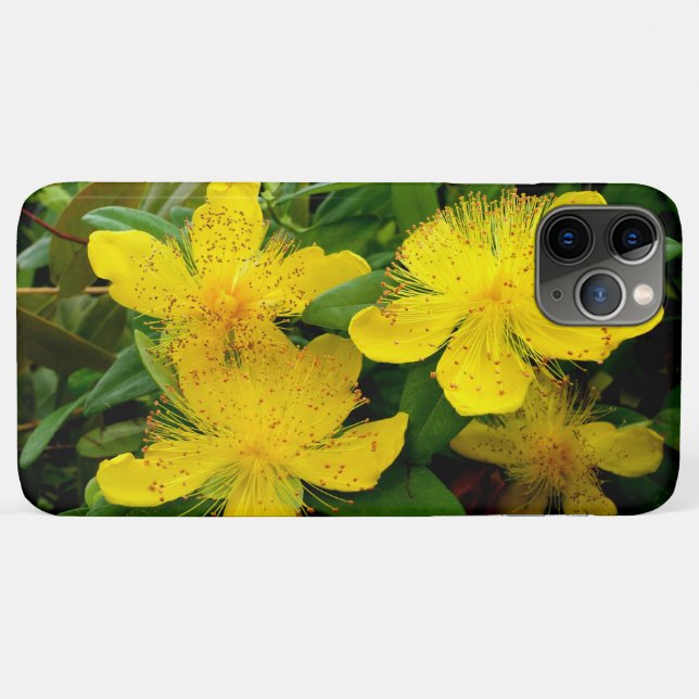 Hypericum calycinum Case-Mate iPhone case (Back (Horizontal))