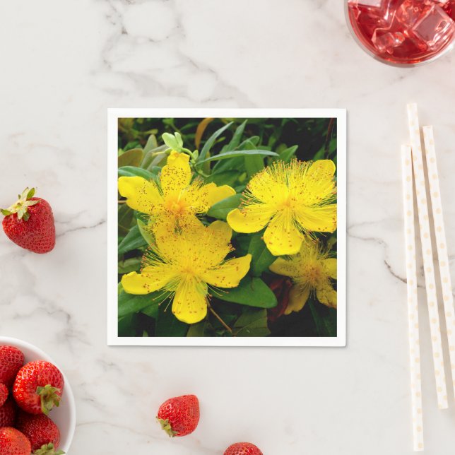Hypericum calycinum Paper Napkins (Insitu)