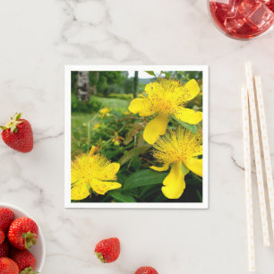 Hypericum calycinum Paper Napkins