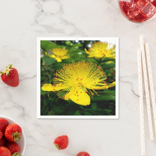 Hypericum calycinum Paper Napkins (Insitu)