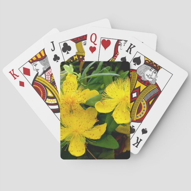 Hypericum calycinum playing cards (Back)