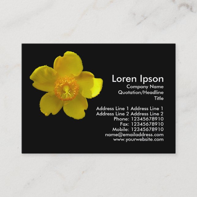 Hypericum Hidcote (St. John's Wort) Business Card (Front)