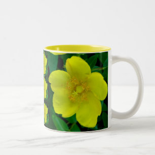 Hypericum Mug