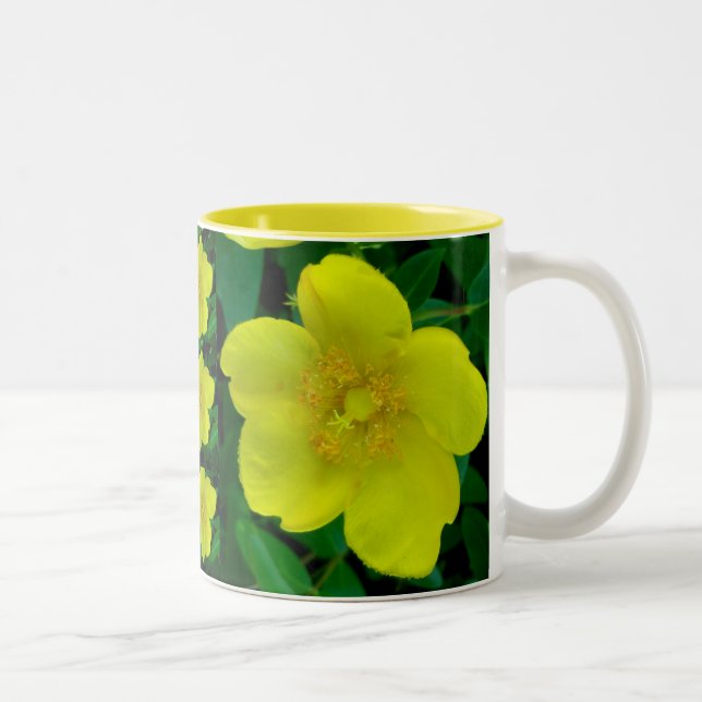 Hypericum Mug (Right)