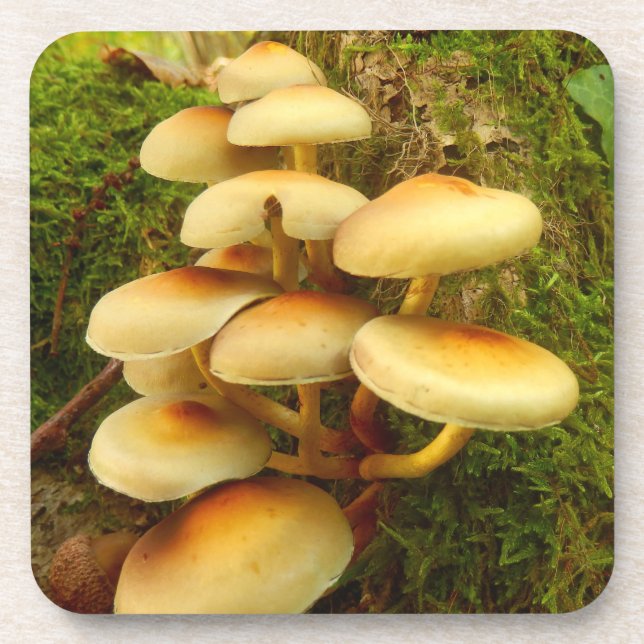 Hypholoma fasciculare Mushroom Plastic Coasters (Front)