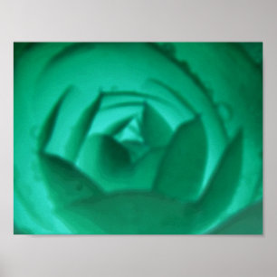 Hypnotic Camellia Flower Print