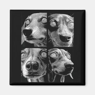 Hypnotic Dachshunds Weird Eyes Weirdcore Halloween Magnet