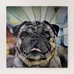 Hypnotic Gaze - Pug Dog  Jigsaw Puzzle