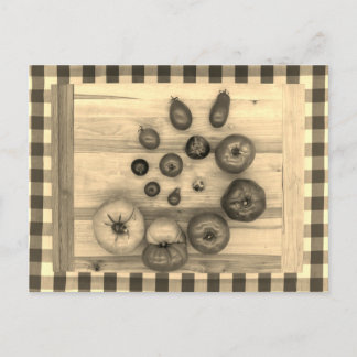 Hypnotic Heirloom Tomatoes - Postcard