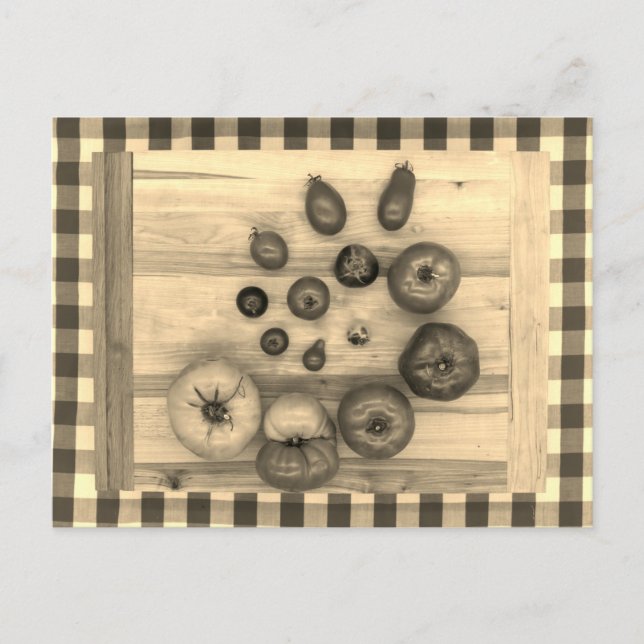 Hypnotic Heirloom Tomatoes - Postcard (Front)