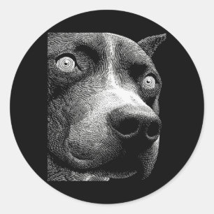 Hypnotic Pit Bull Weird Eyes Weirdcore Spooky Classic Round Sticker