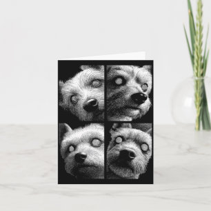 Hypnotic Yorkshire Terrier Odd Eyes Weirdcore Card