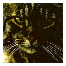 Hypnotising Cat Digital Art Hypnosis