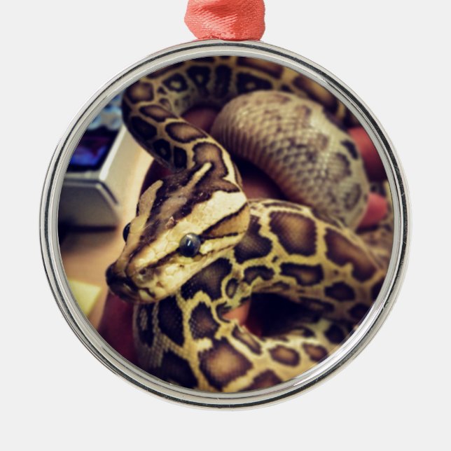Hypo baby burmese python photo design. metal ornament (Front)
