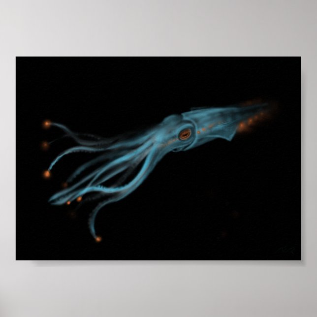 Hypothetical Squid Poster (Front)