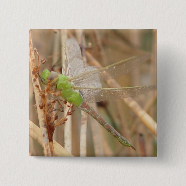 I1 Green Dragonfly 15 Cm Square Badge (Front)