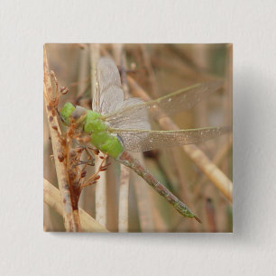 I1 Green Dragonfly 15 Cm Square Badge