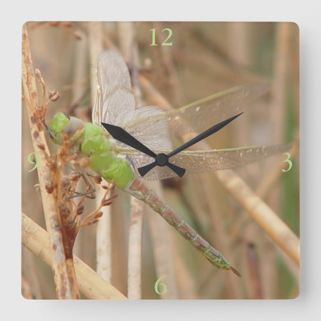 I1 Green Dragonfly Square Wall Clock (Front)