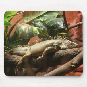 I2 MOUSE PAD