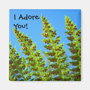 I Adore You! magnets Green Fern leaves Blue Sky