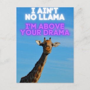 I Ain't No Llama, I'm Above Your Drama Giraffe   Postcard
