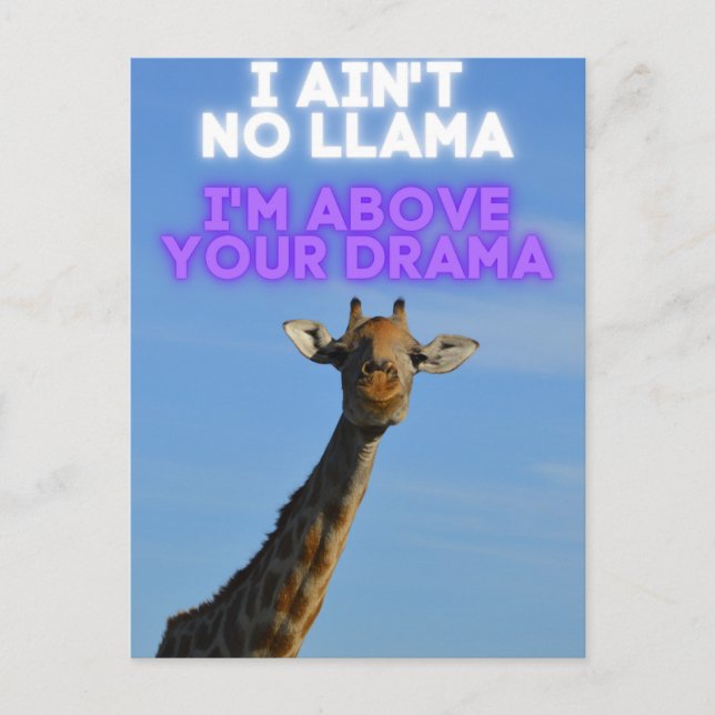 I Ain't No Llama, I'm Above Your Drama Giraffe   Postcard (Front)