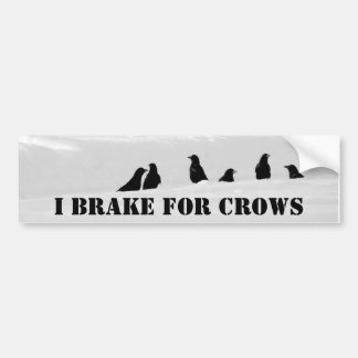 I Always Brake For Crows Bumper Sticker