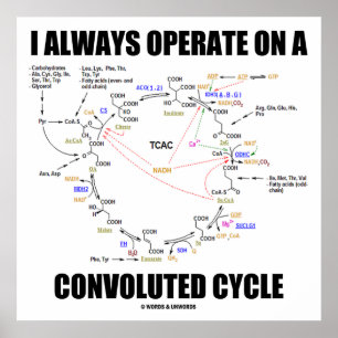 I Always Operate On A Convoluted Cycle (Krebs) Poster