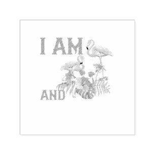 I Am 6 and Flamazing Self-inking Stamp