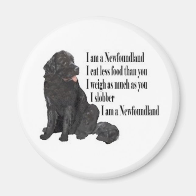 I am a Newfoundland Magnet (Front)