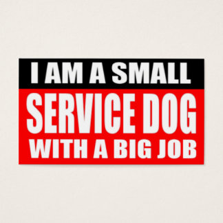 I am a small Service Dog with a Big Job
