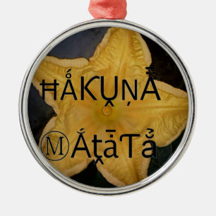 I am a star within. metal ornament