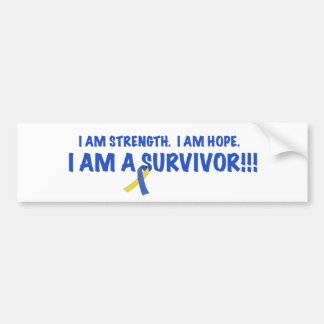 I am a Survivor!!! Bumper Sticker