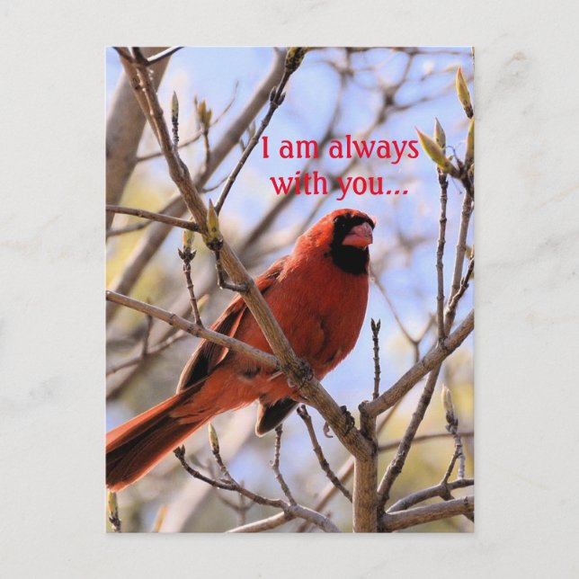 I am always with you... postcard (Front)