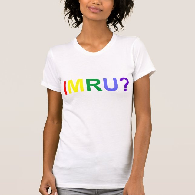 I Am Are You IMRU Rainbow Pride T-Shirt (Front)