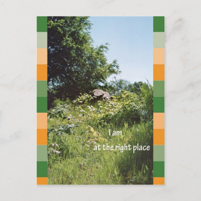 I am at the right place postcard (Front)