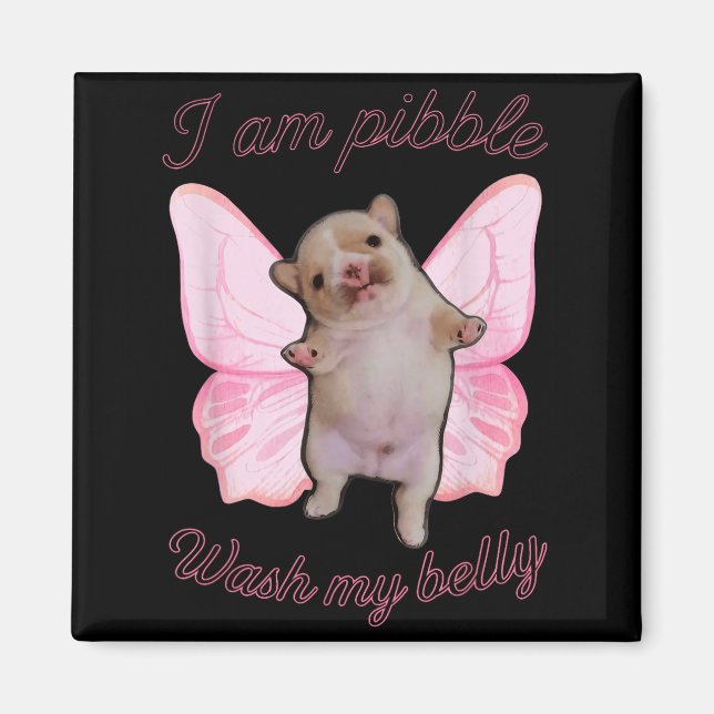 I Am Bble Wash My Belly Bble Meme Funny Dog Brainr Magnet (Front)