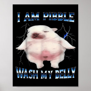 I Am Bble Wash My Belly Bble Meme Funny Dog Brainr Poster