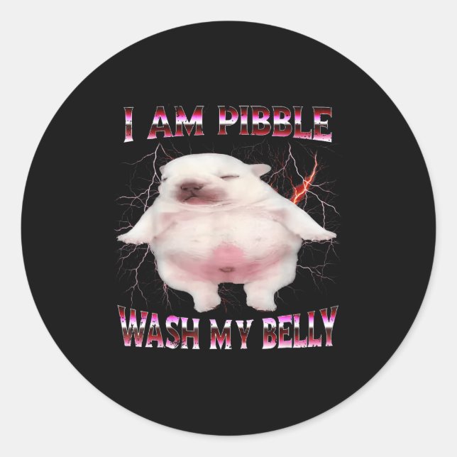 I Am Bble Wash My Belly Funny Dog Meme  Classic Round Sticker (Front)