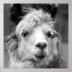 I am beautiful poster