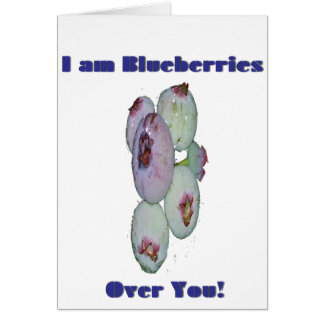 I am Blueberries Over You2