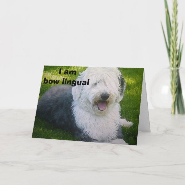 "I AM BOW LINGUAL" BIRTHDAY GREETINGS CARD (Front)