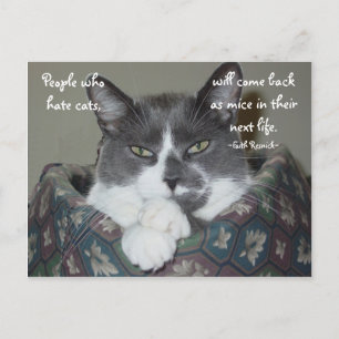 I Am Cat... Postcard