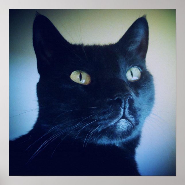 I Am Cat Print (Front)