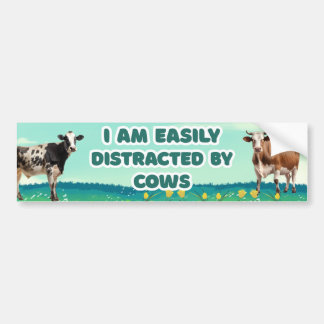I Am Easily Distracted by Cows, Funny cute Bumper Sticker