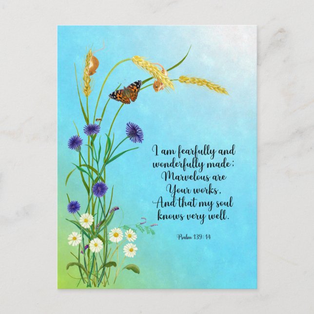 I am fearfully and wonderfully made postcard (Front)