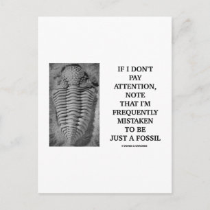 I Am Frequently Mistaken Just A Fossil (Trilobite) Postcard