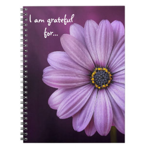 I am grateful for - Gratitude Journal