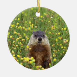 I am Groundhog Ceramic Tree Decoration