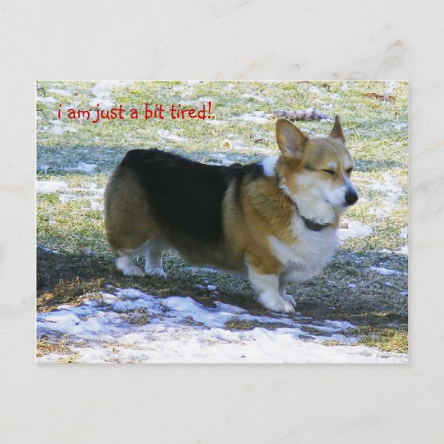 I AM JUST A BIT TIRED! HOLIDAY POSTCARD (Front)
